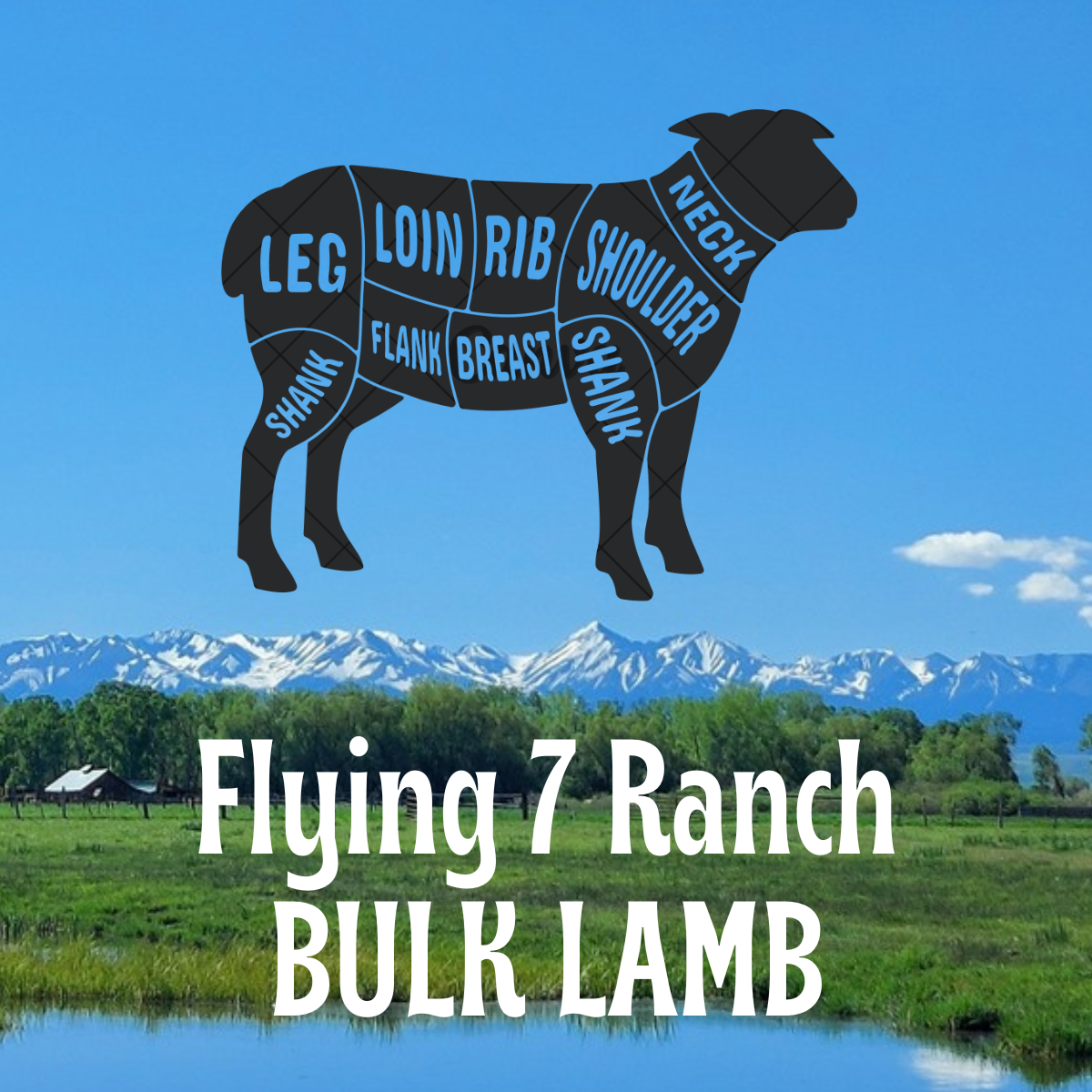 Bulk Grassfed Lamb
