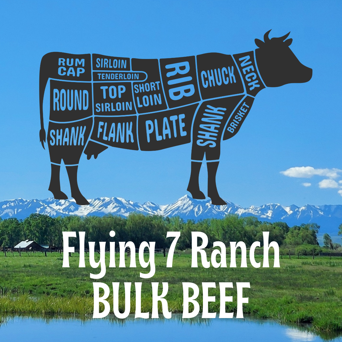 Bulk Beef