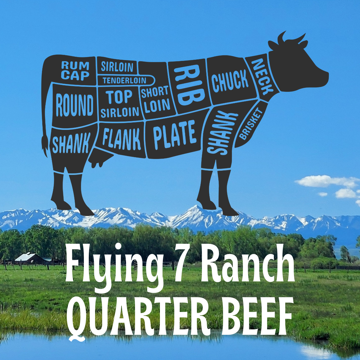 Bulk Grassfed Beef, 1/4 Beef (Deposit)